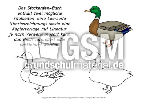 Mini-Buch-Stockente.pdf
